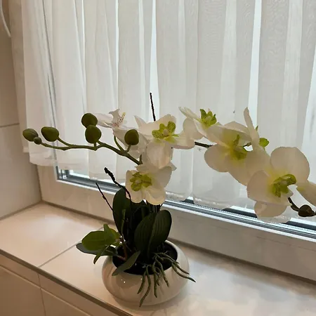 Charmante Und Moderne Altbauwohnung *