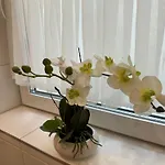 Charmante Und Moderne Altbauwohnung *
